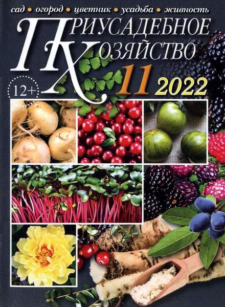 Приусадебное хозяйство №11 ноябрь 2022 + приложения Цветы в саду и дома Дачная кухня