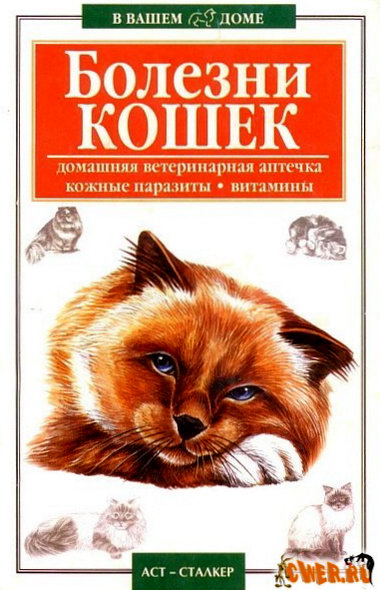 Болезни кошек