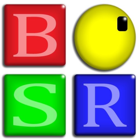 BSR Screen Recorder