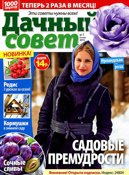 Дачный совет №1 2015