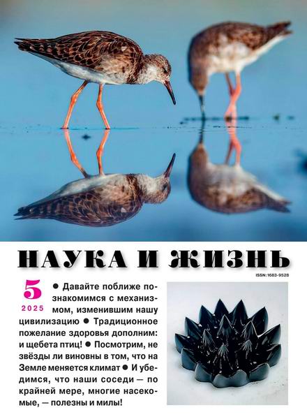 Наука и жизнь №5 май 2025