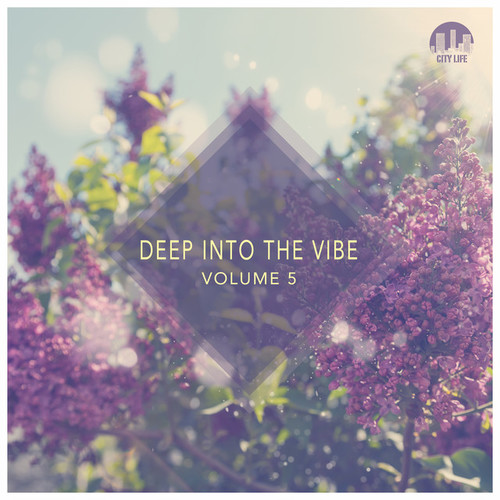 Deep into the Vibe Vol.5