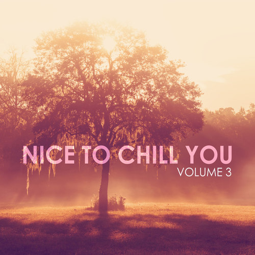 Nice to Chill You Vol.3