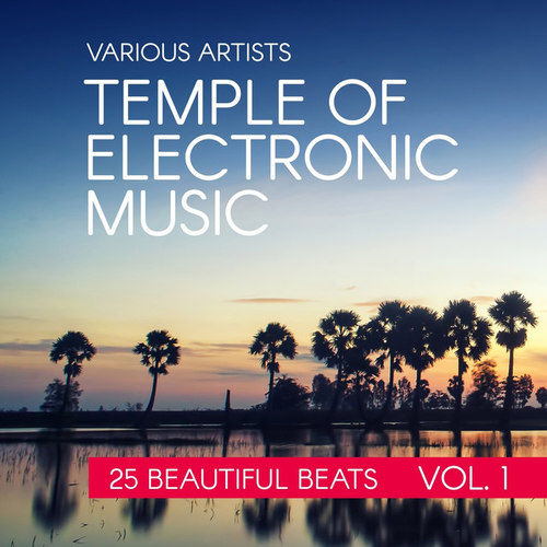 Temple Of Electronic Music: 25 Beautiful Beats Vol.1