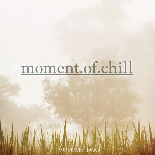 Moment Of Chill Vol.2: Finest Selection Of Music To Chill