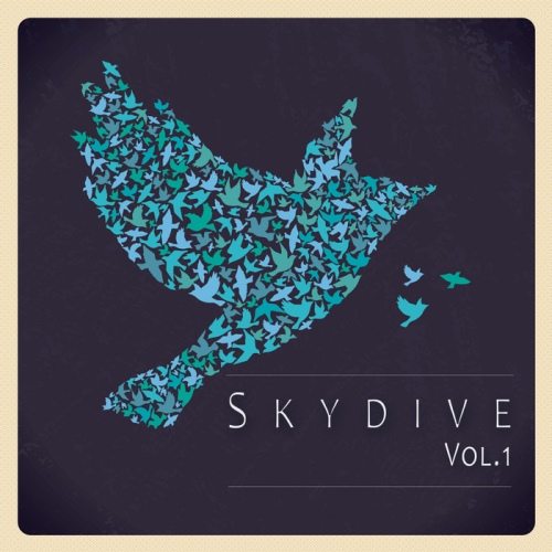 Skydive Vol 01