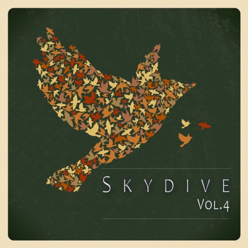 Skydive Vol 04