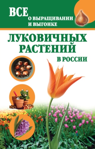 Все о выращивании и выгонке луковичных растений в России