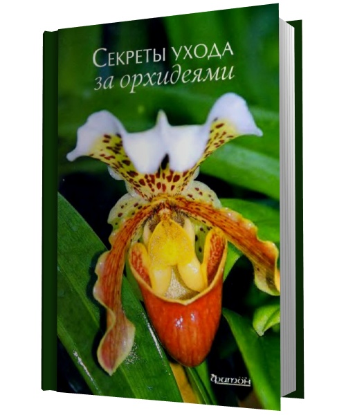 Секреты ухода за орхидеями