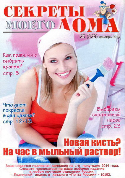 Секреты моего дома №25 (декабрь 2013)