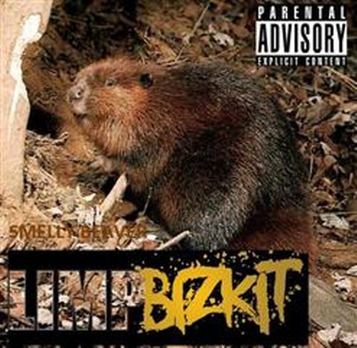 Limp Bizkit 2010 - Smelly beaver