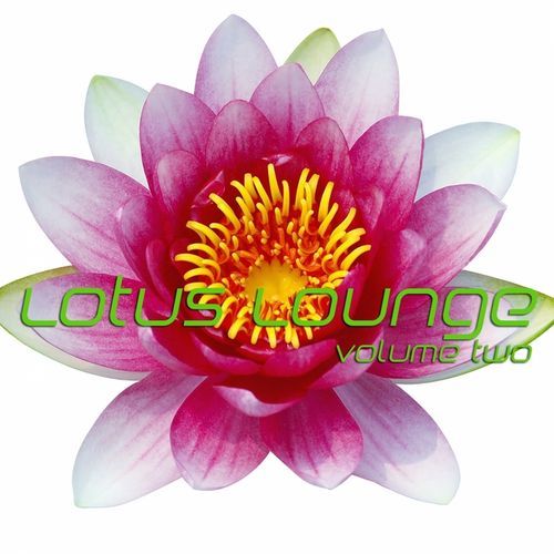 скачать Lotus lounge volume two