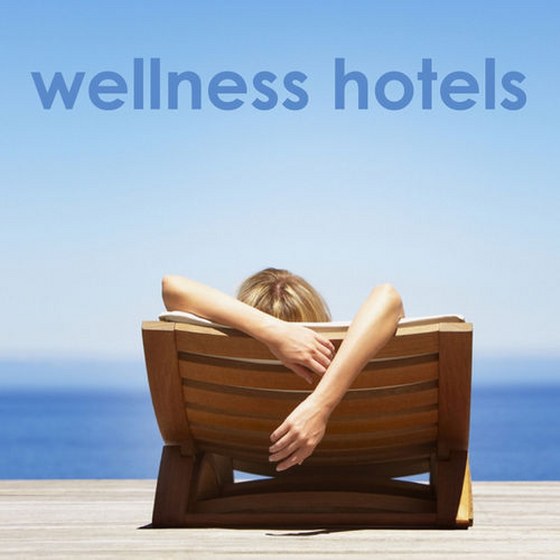 скачать Wellness Hotels (2012)