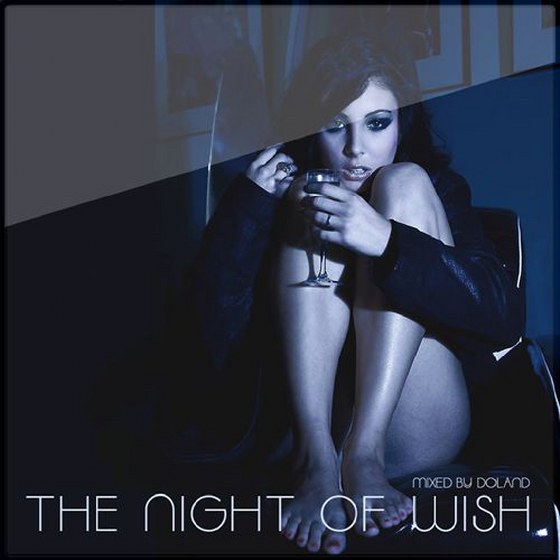 скачать The Night Of Wish: Mixed By Doland (2012)