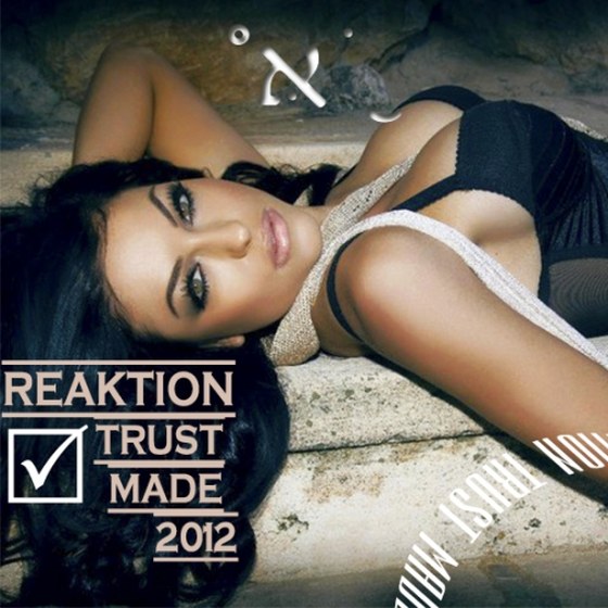 скачать Reaktion Trust Made (2012)