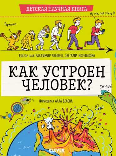Как устроен человек?