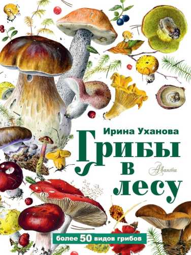 Грибы в лесу