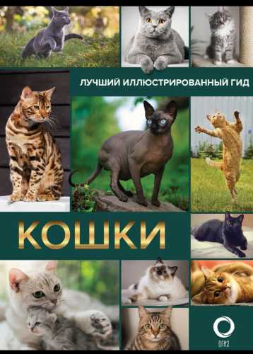 Н.Н. Непомнящий. Кошки. Лучший иллюстрированный гид