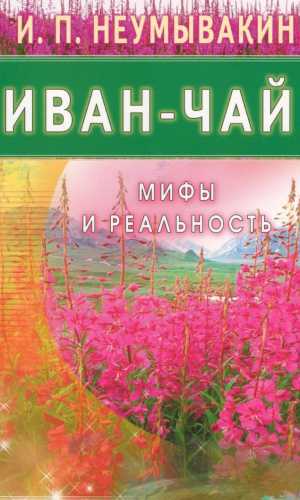 Иван-Чай. Мифы и реальность