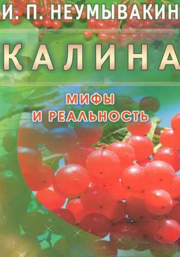 Калина. Мифы и реальность