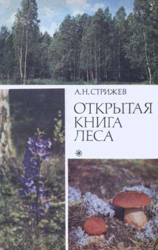 Открытая книга леса