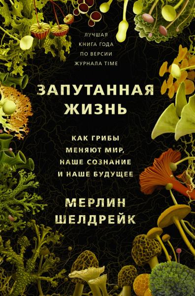 Мерлин Шелдрейк. Запутанная жизнь. Как грибы меняют мир, наше сознание и наше будущее