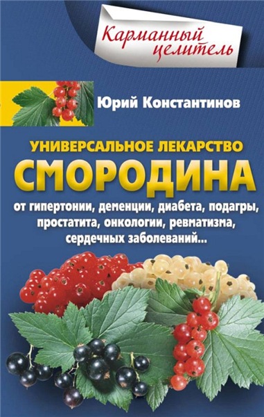 Ю. Константинов. Универсальное лекарство смородина