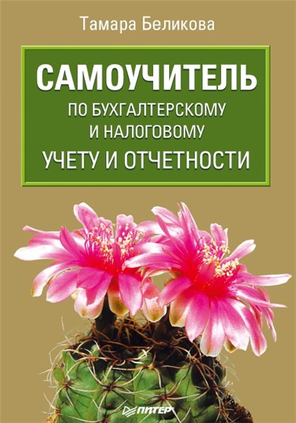 Т.Н. Беликова. Самоучитель по бухгалтерскому и налоговому учету и отчетности