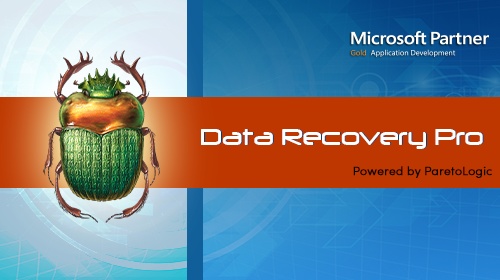 ParetoLogic Data Recovery Pro 2.2.0.0