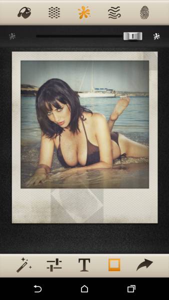 Polaroid