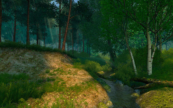 Summer Forest 3D Screensaver