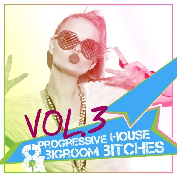 Progressive House & Bigroom Bitches Vol.3 (2016)