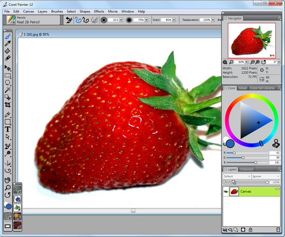 Corel Painter