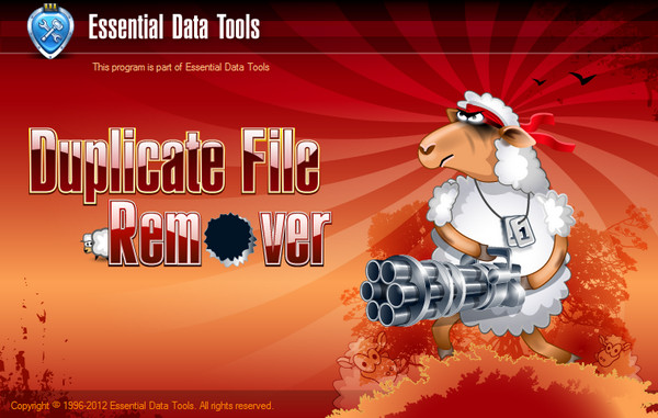 Essential Data Tools Duplicate File Remover