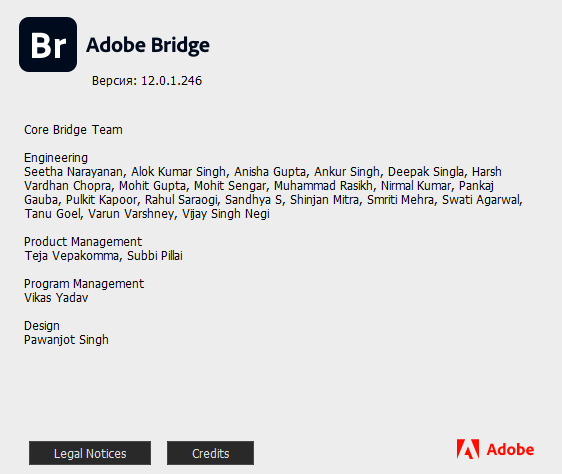 Adobe Bridge 2022