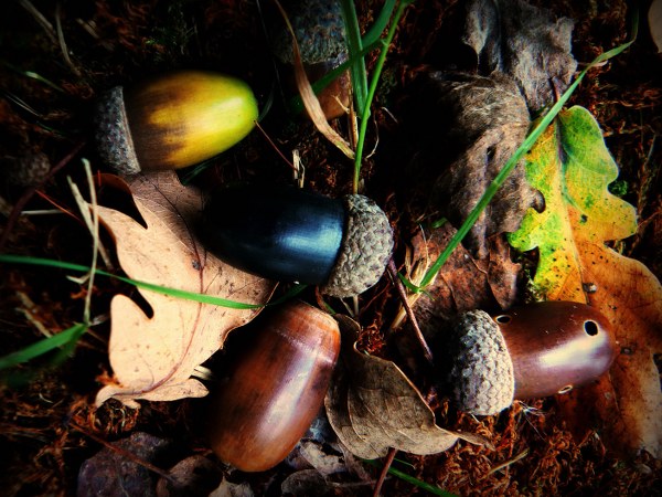 New Mixed HD Wallpapers Pack 349