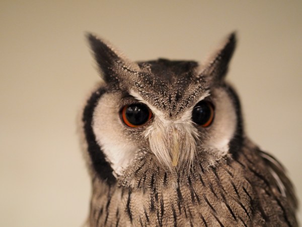 New Mixed HD Wallpapers Pack 349