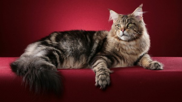 New Mixed HD Wallpapers Pack 315