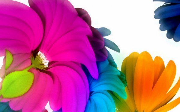 Best Mixed Wallpapers Pack #399-400