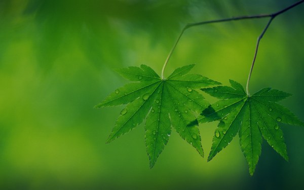 Best Mixed Wallpapers Pack #321-322