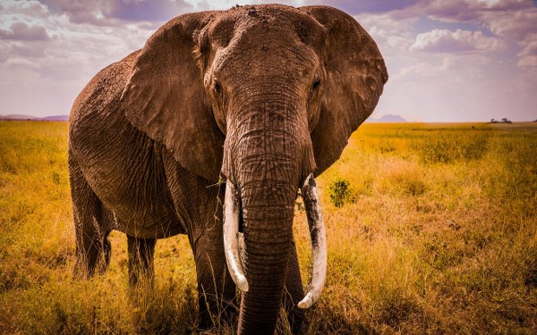 New Mixed HD Wallpapers Pack 165