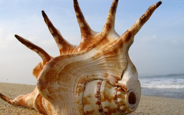 Best Mixed Wallpapers Pack #351-352