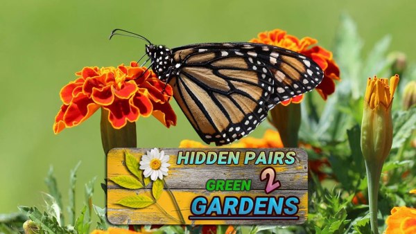 Hidden Pairs 2: Green Gardens