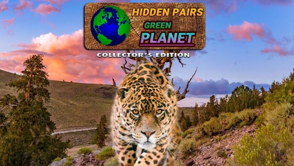 Hidden Pairs: Green Planet Collector’s Edition