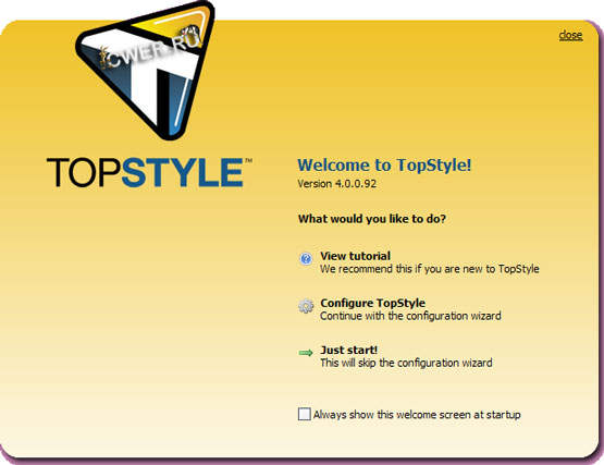 TopStyle 4