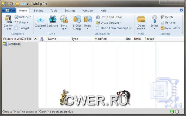 WinZip Pro 16.5