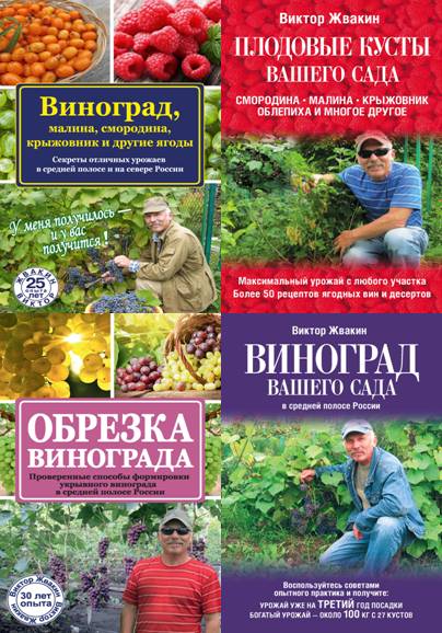 Виктор Жвакин. Сборник 5 книг