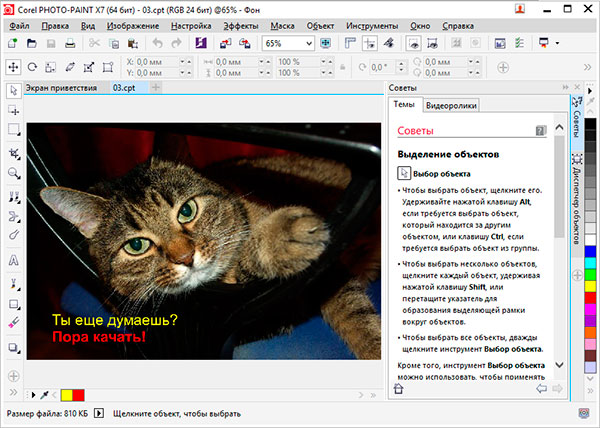 CorelDRAW Graphics Suite X7 17.4.0.887 by Krokoz